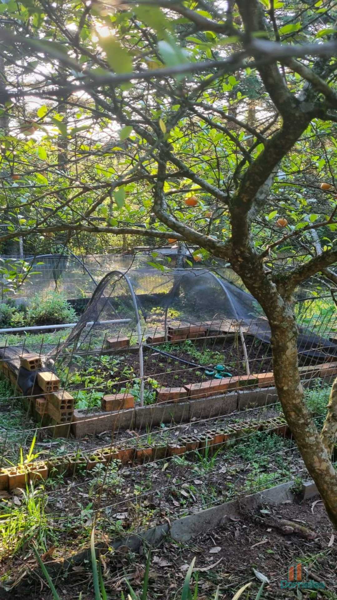 Imagem n° 20 do imóvel 14630