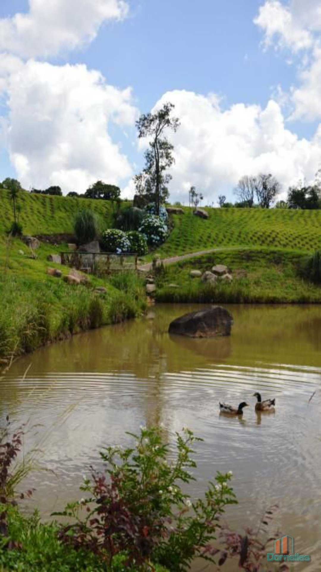 Imagem n° 2 do imóvel 14644