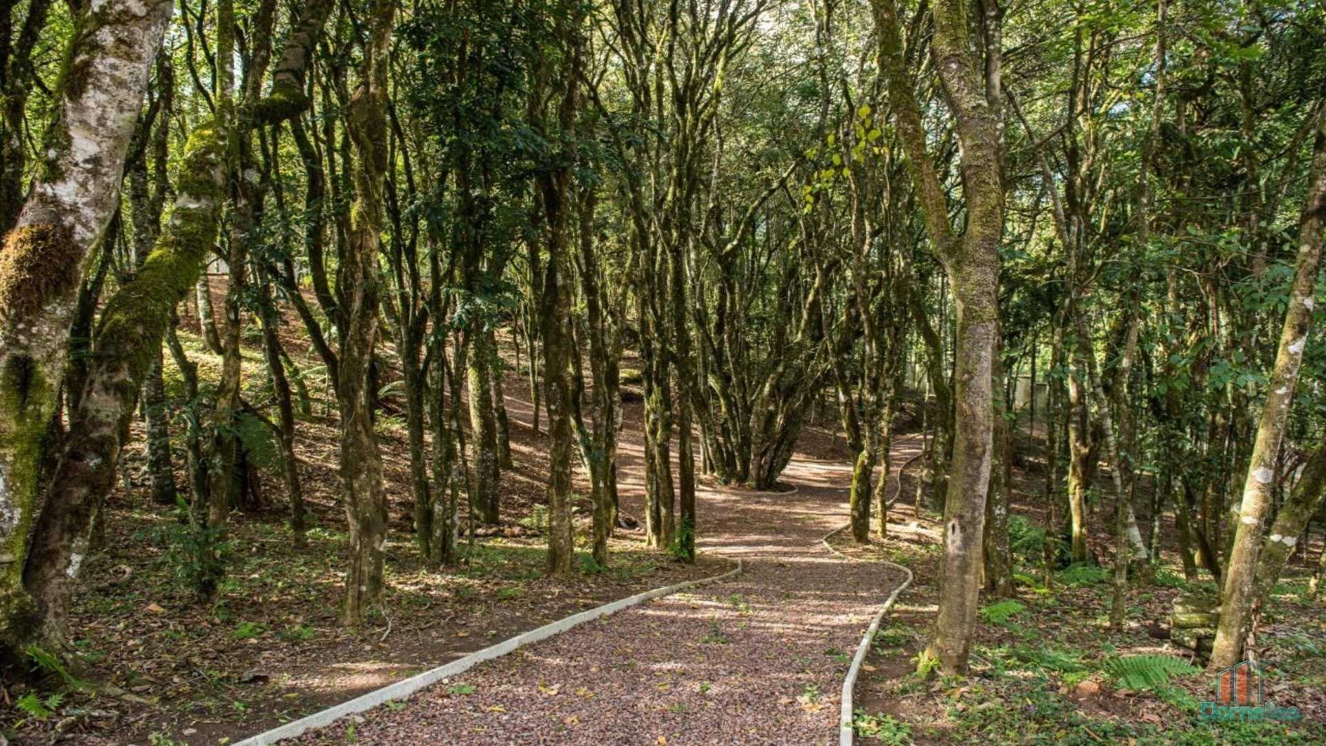 Imagem n° 6 do imóvel 14644