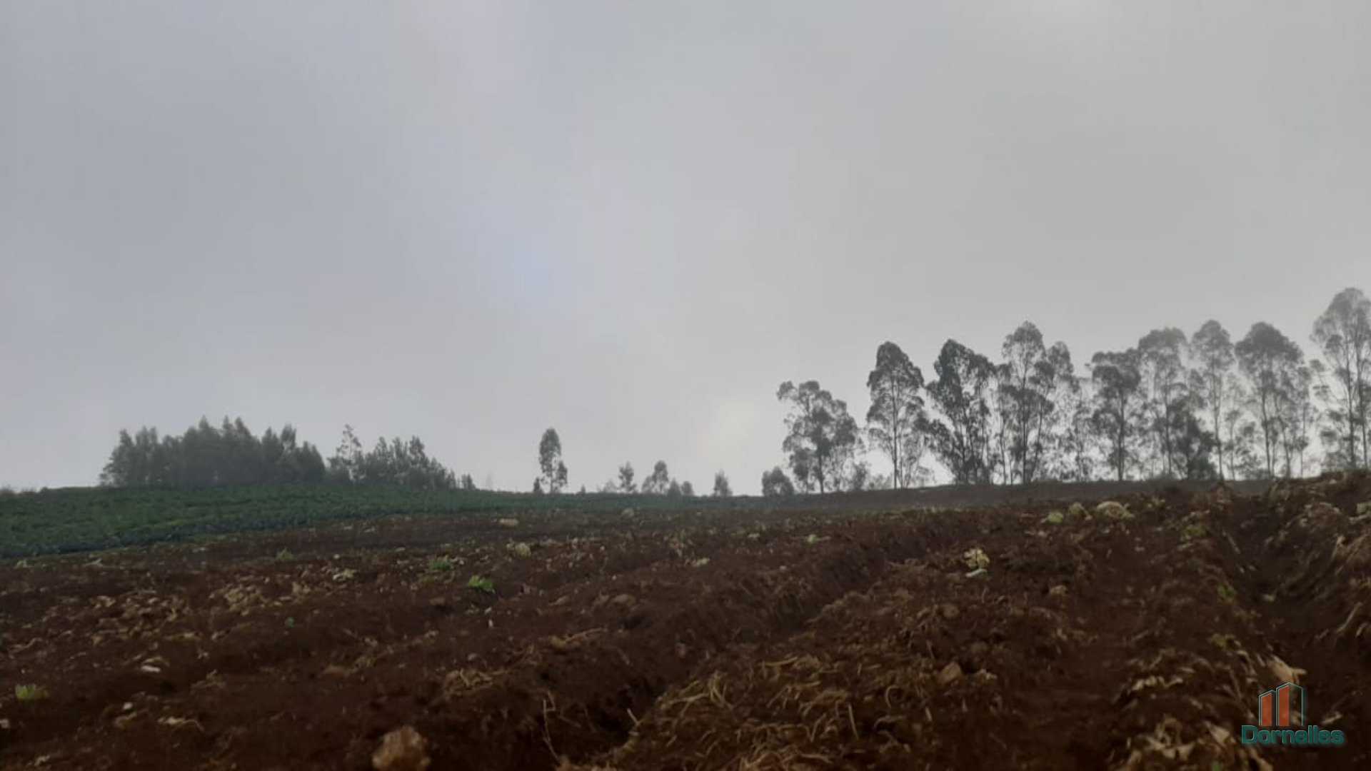 Imagem n° 9 do imóvel 14653