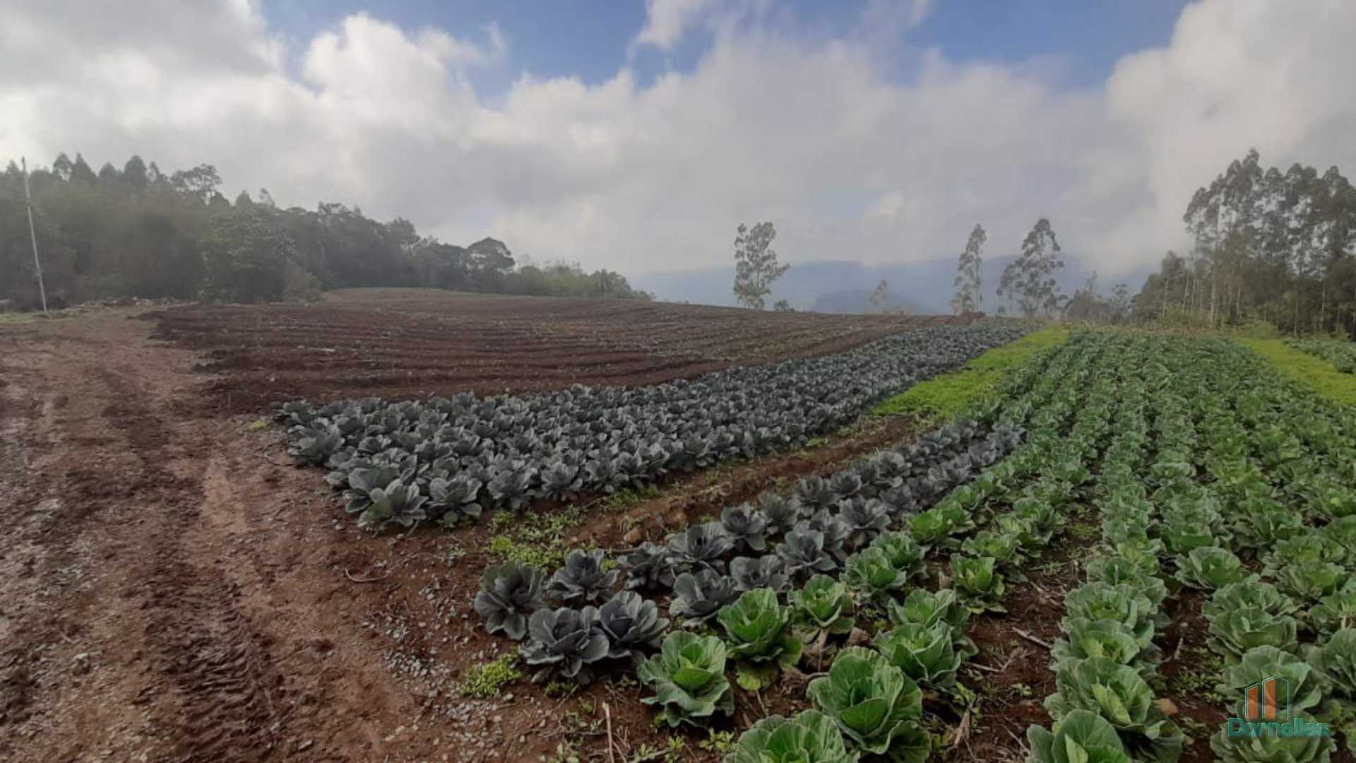 Imagem n° 12 do imóvel 14653