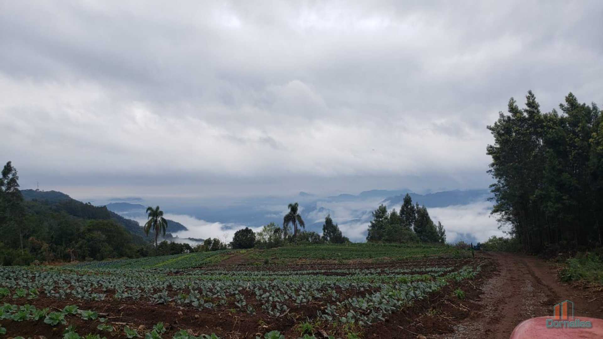 Imagem n° 19 do imóvel 14653