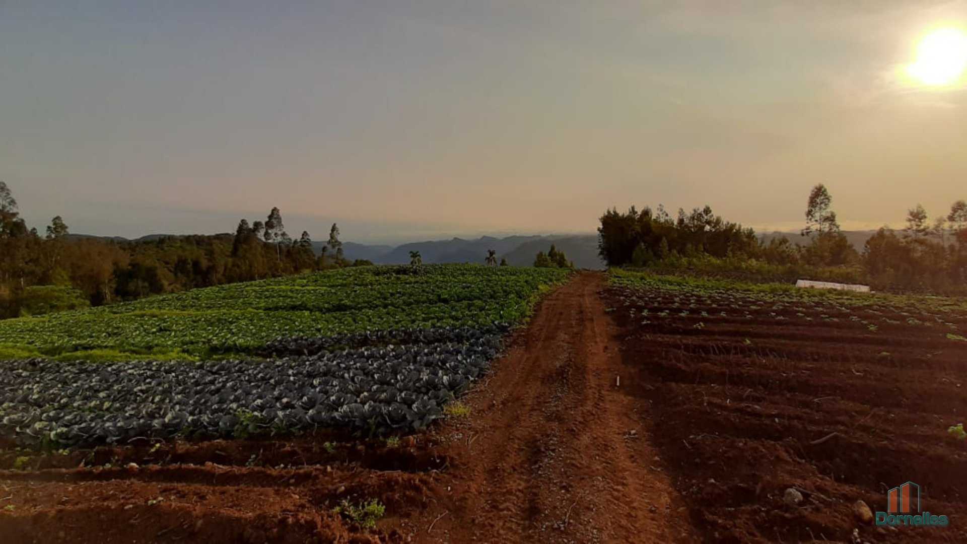 Imagem n° 22 do imóvel 14653