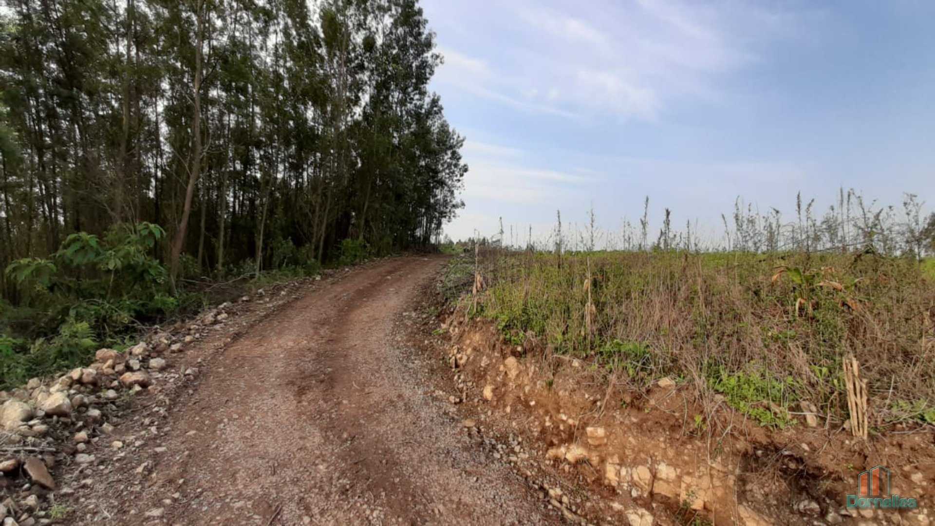 Imagem n° 29 do imóvel 14653