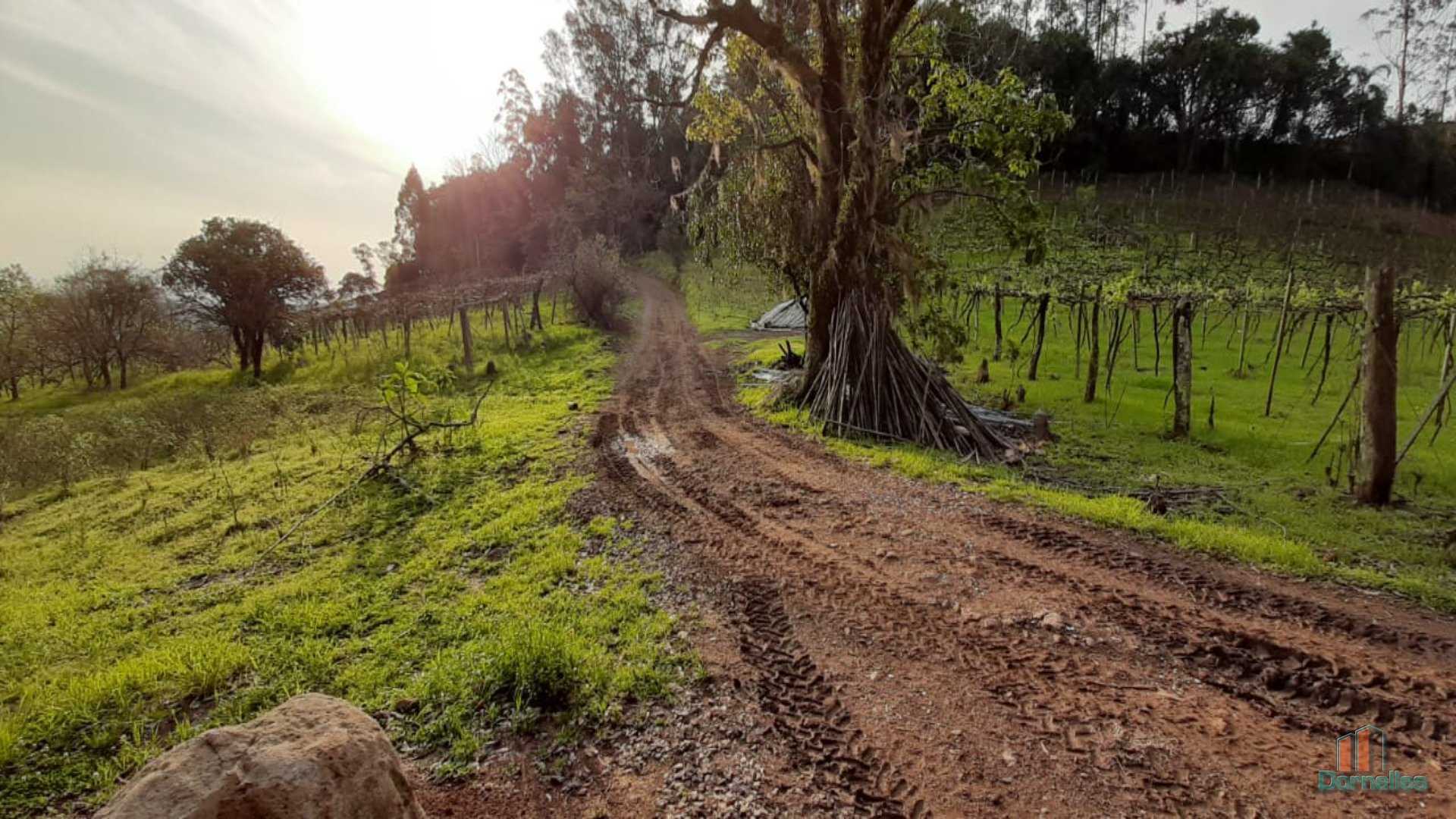 Imagem n° 32 do imóvel 14653